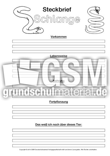 Schlange-Steckbriefvorlage-sw.pdf